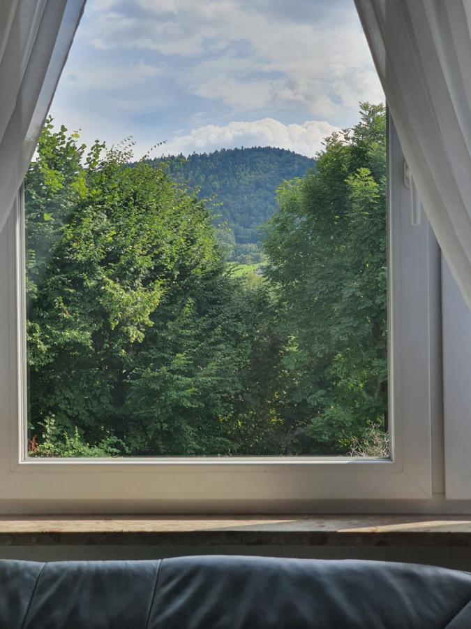 Apartamenty Straconka ,Бельско-Бяла Экстерьер фото